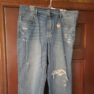 Lane Bryant jeans